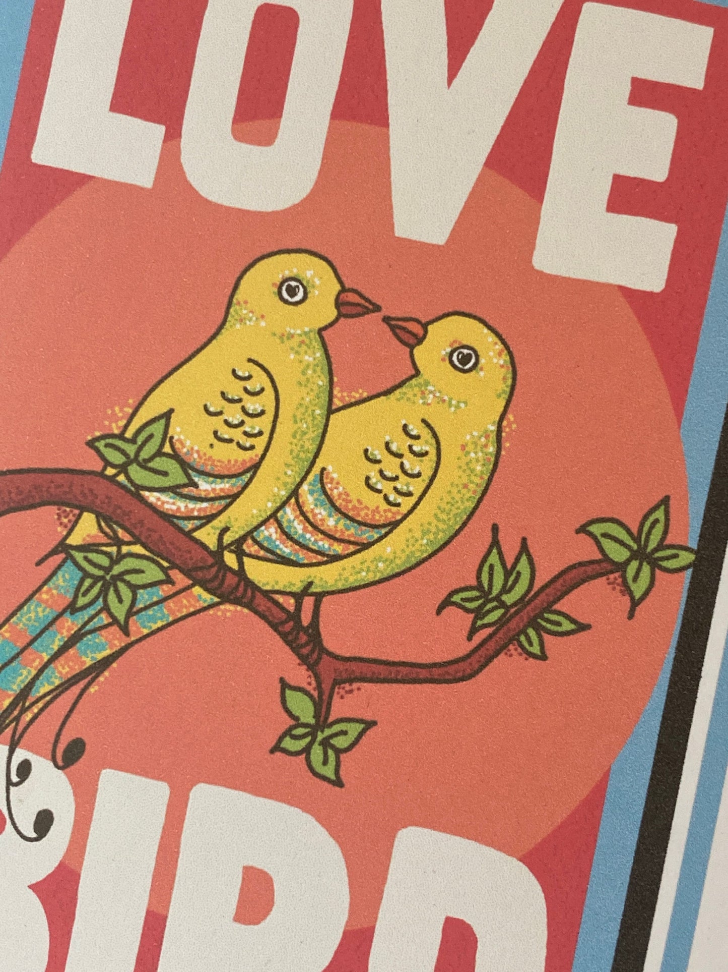 Love Bird Greeting card, Spread the love, Quirky love bird design